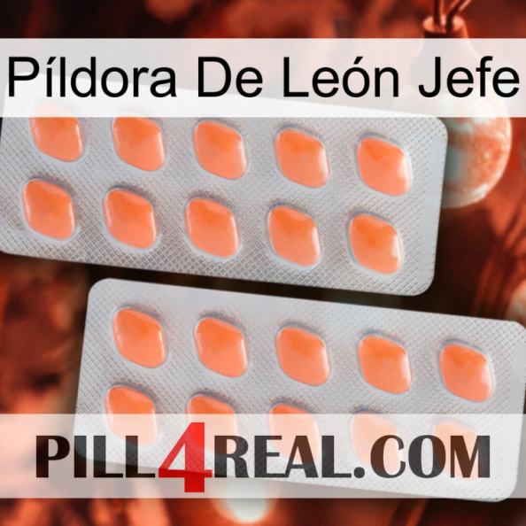 Píldora De León Jefe 27.jpg